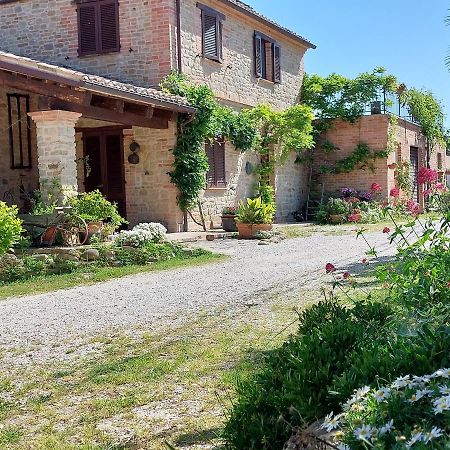 Casale San Martino Agriturismo Bio Sant'Angelo in Pontano Экстерьер фото