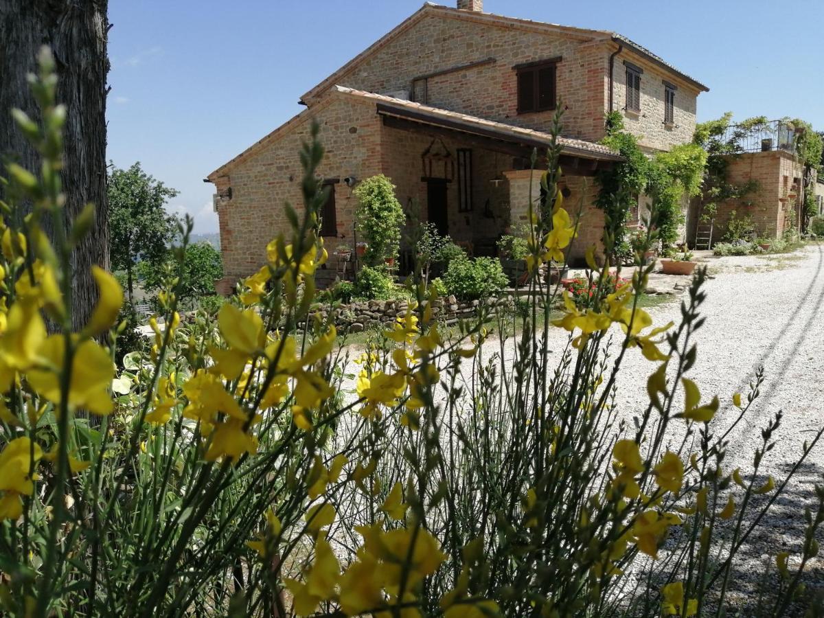 Casale San Martino Agriturismo Bio Sant'Angelo in Pontano Экстерьер фото