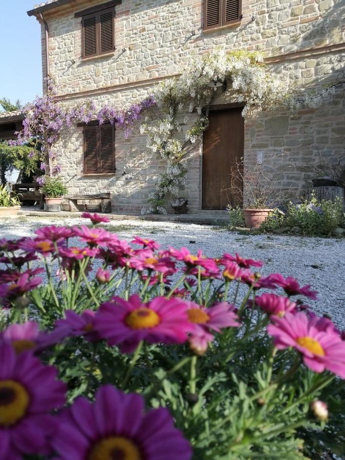 Casale San Martino Agriturismo Bio Sant'Angelo in Pontano Экстерьер фото