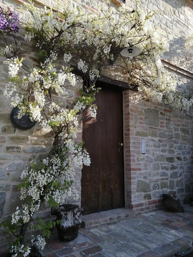 Casale San Martino Agriturismo Bio Sant'Angelo in Pontano Экстерьер фото