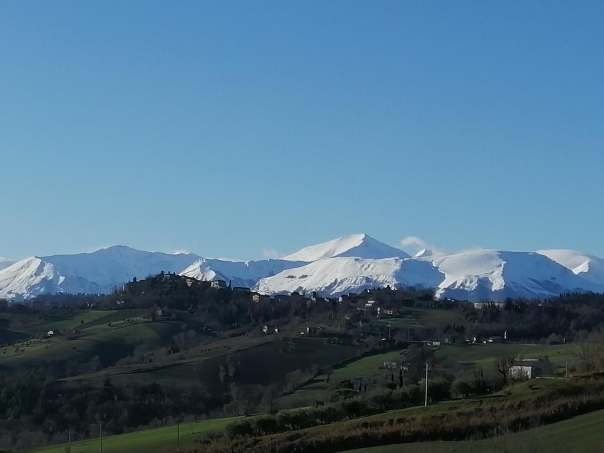 Casale San Martino Agriturismo Bio Sant'Angelo in Pontano Экстерьер фото