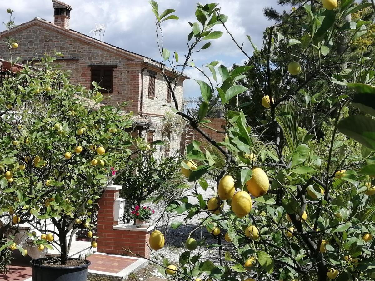 Casale San Martino Agriturismo Bio Sant'Angelo in Pontano Экстерьер фото