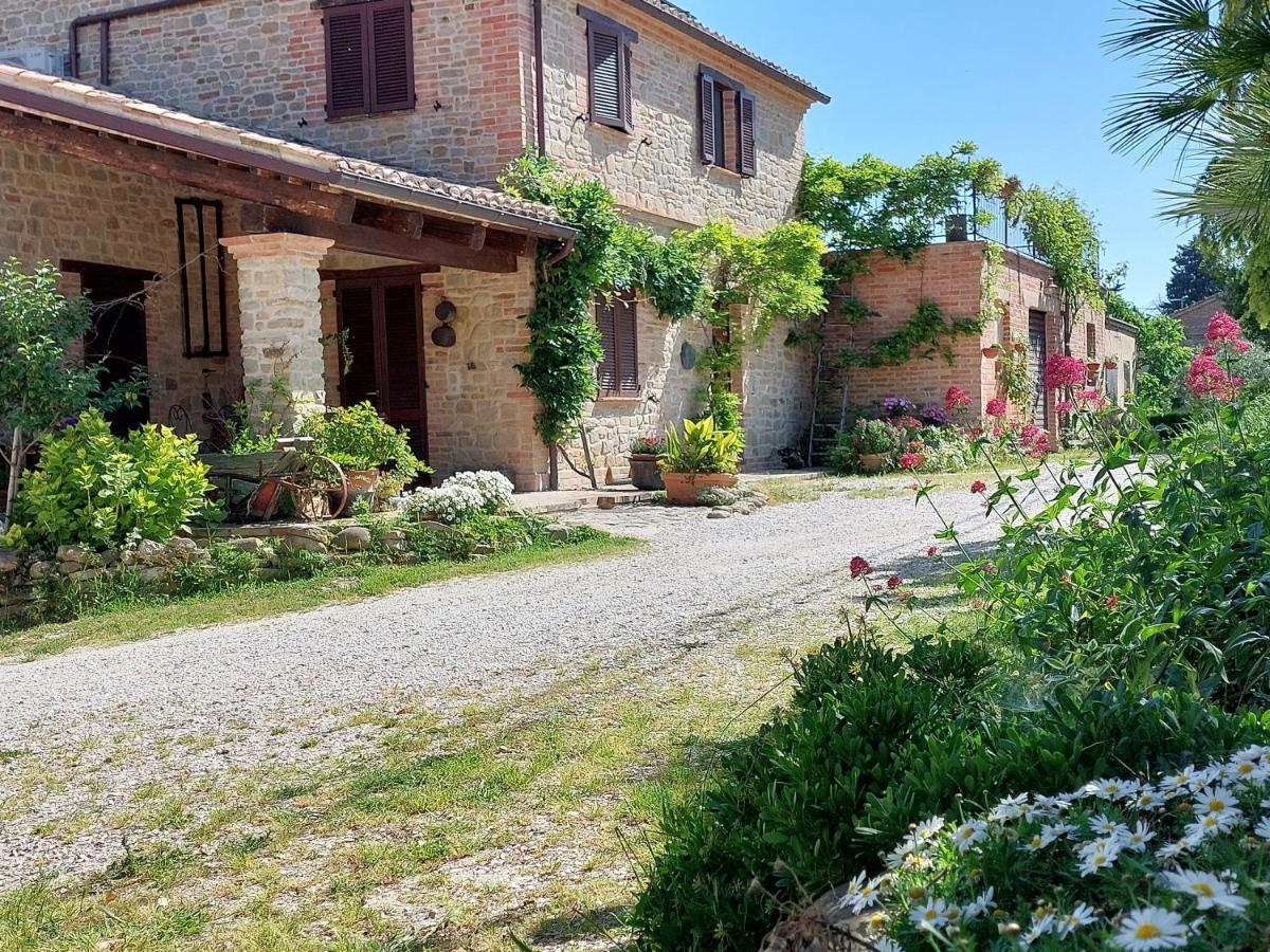 Casale San Martino Agriturismo Bio Sant'Angelo in Pontano Экстерьер фото
