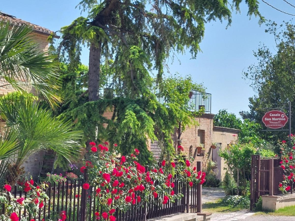Casale San Martino Agriturismo Bio Sant'Angelo in Pontano Экстерьер фото