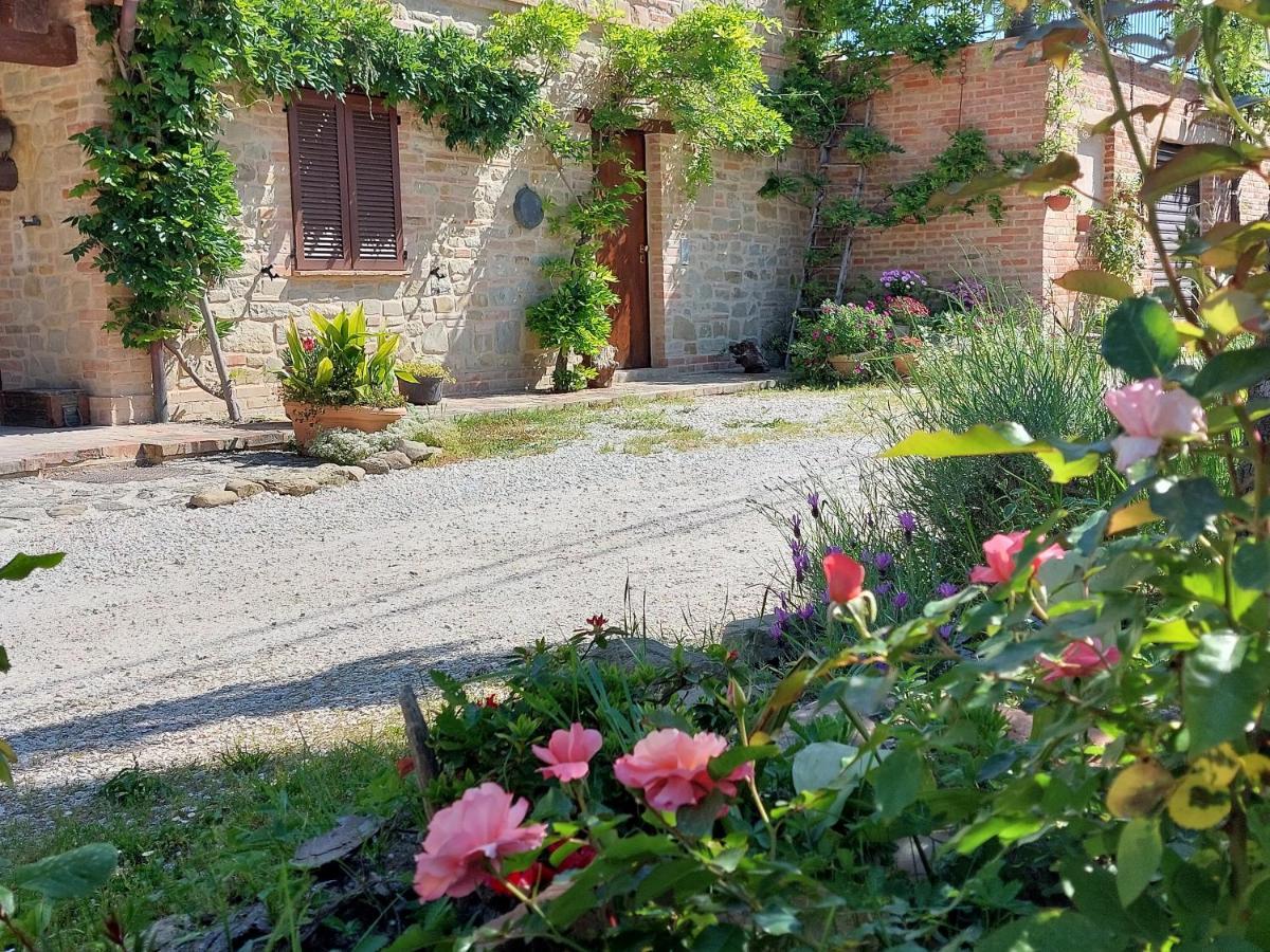 Casale San Martino Agriturismo Bio Sant'Angelo in Pontano Экстерьер фото