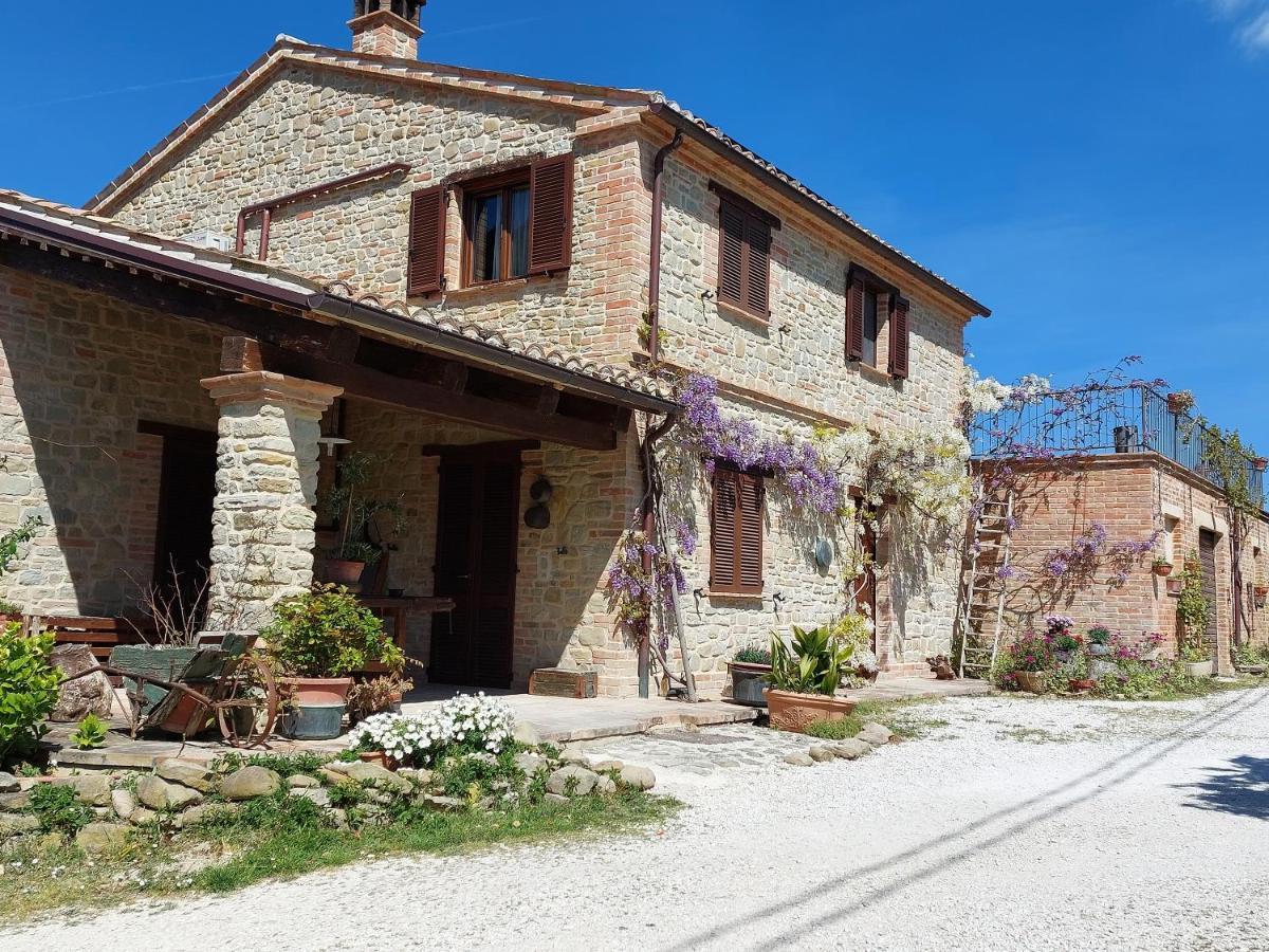 Casale San Martino Agriturismo Bio Sant'Angelo in Pontano Экстерьер фото