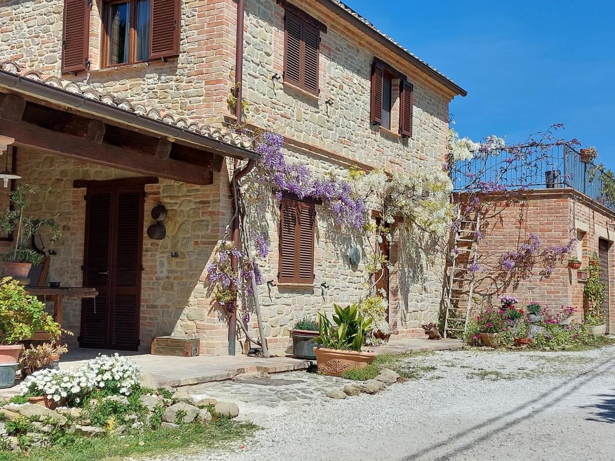 Casale San Martino Agriturismo Bio Sant'Angelo in Pontano Экстерьер фото