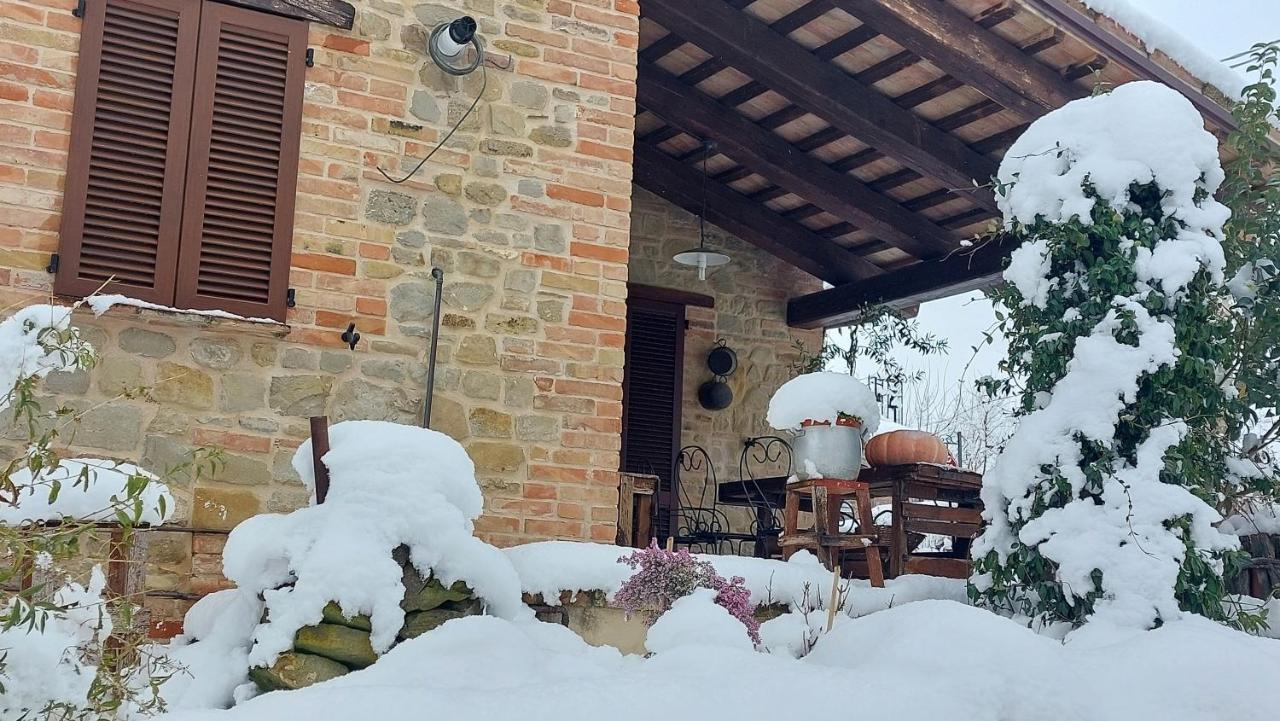 Casale San Martino Agriturismo Bio Sant'Angelo in Pontano Экстерьер фото