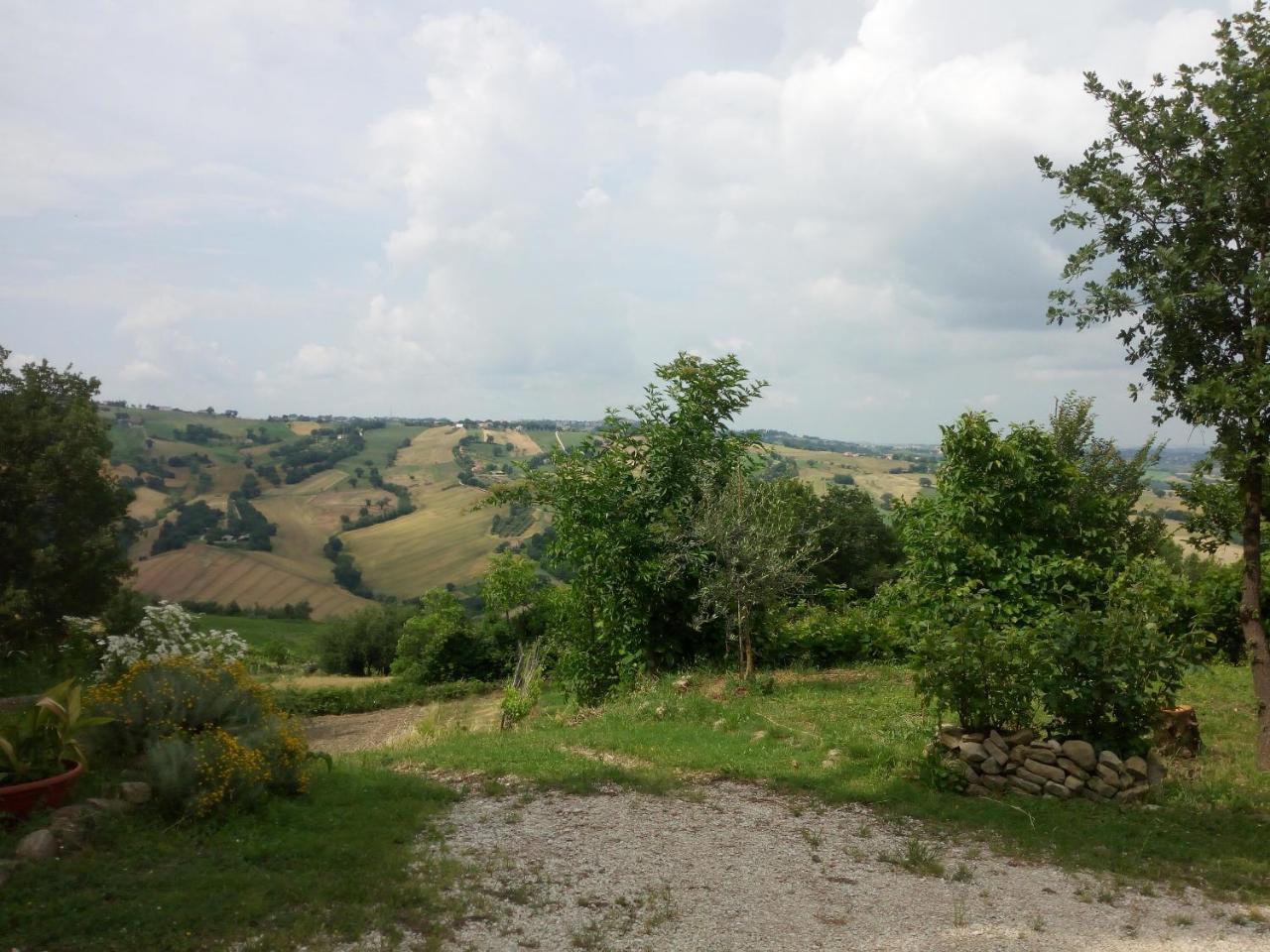 Casale San Martino Agriturismo Bio Sant'Angelo in Pontano Экстерьер фото